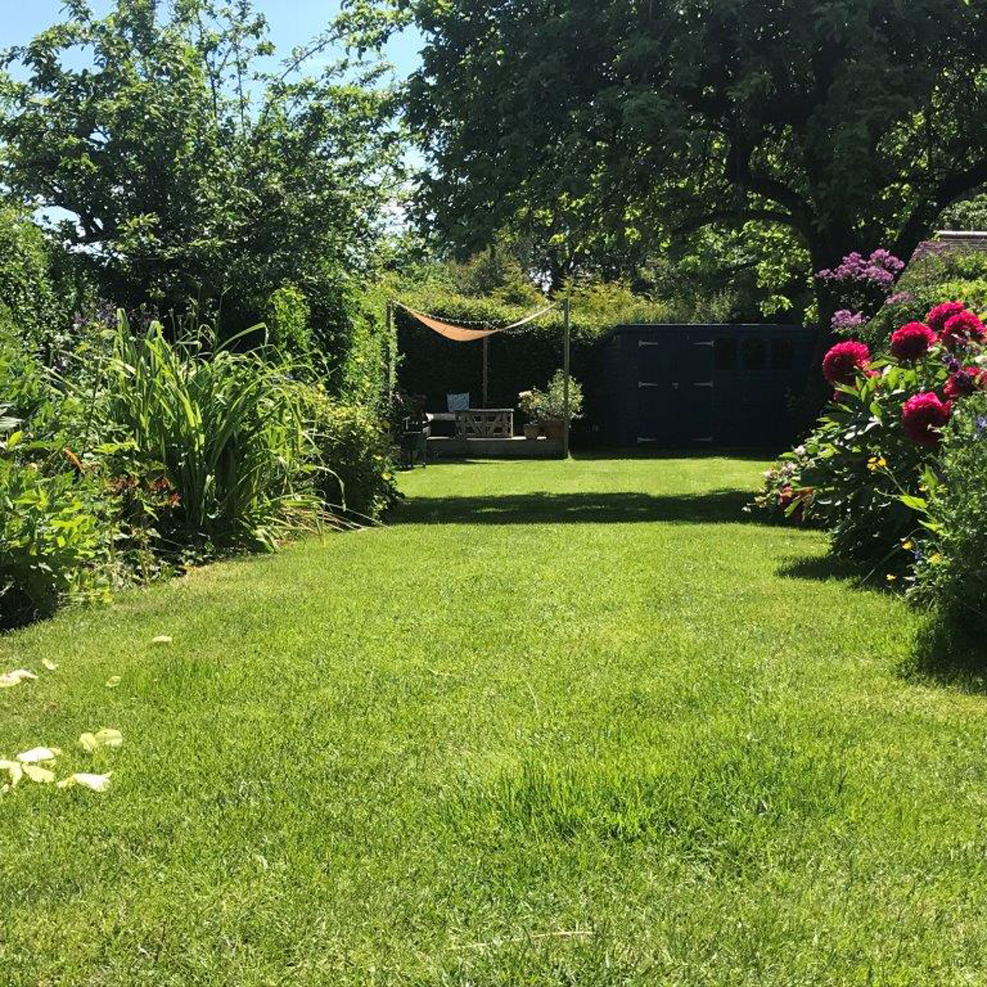 garden in the summer with flower beds and small raised deck