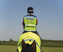 hi-viz.jpg