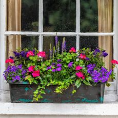 Closeup view of brick yellow wall by window potted plant in aged weathered basket pot outside on window sill with lavender, blue salvia and geranium colorful flowers in Chelsea, London UK 