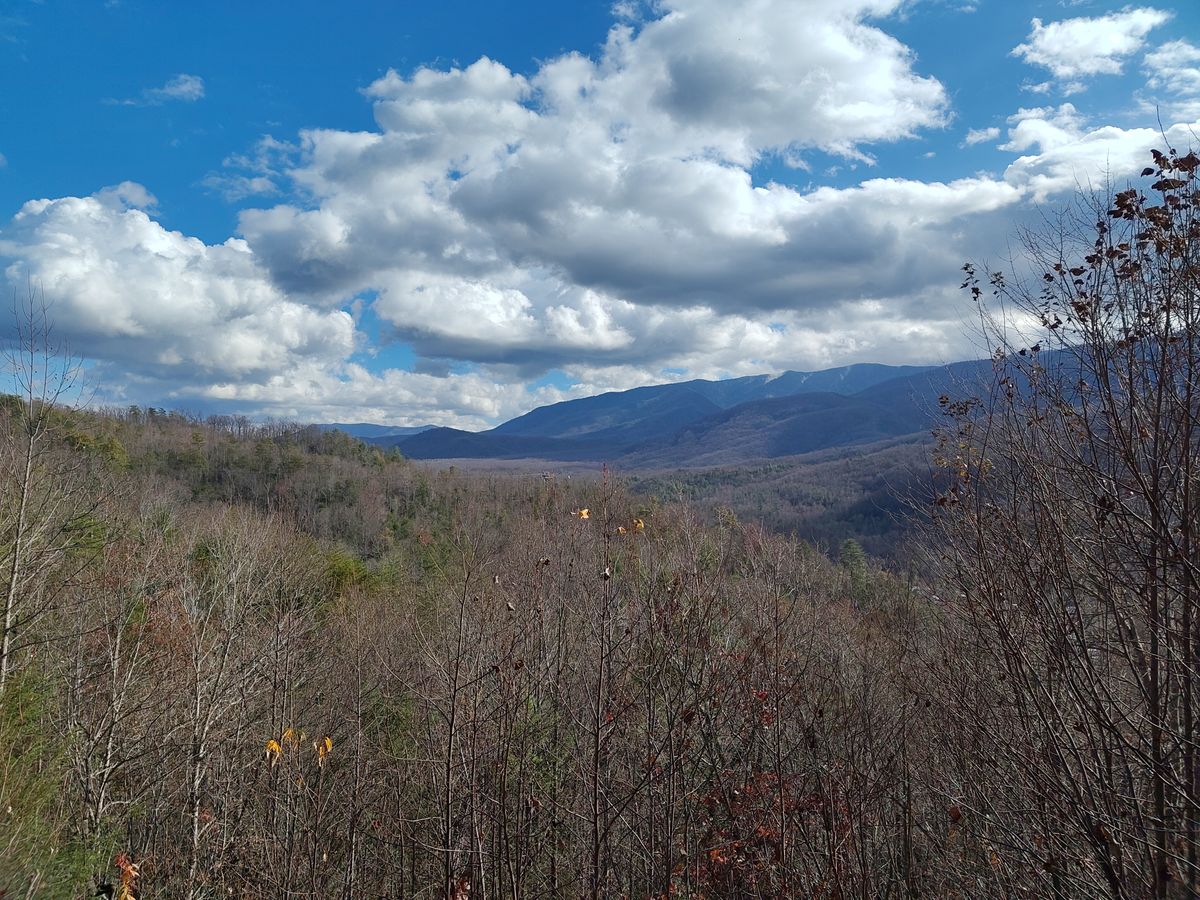 A camera sample taken from the Fairphone 6's main camera