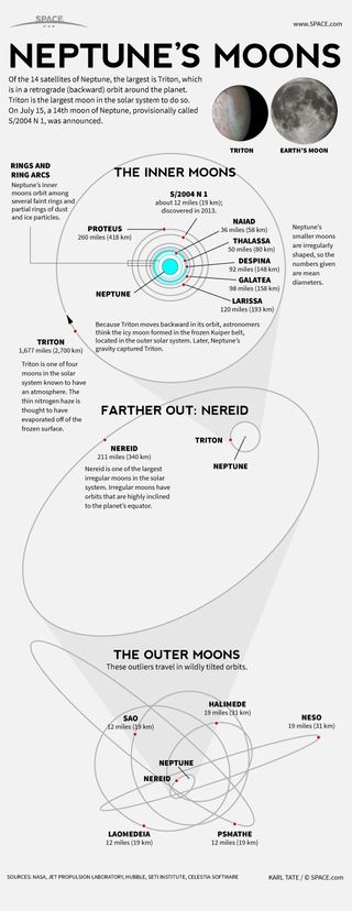 Infographic: Facts about Neptune's fourteen moons.