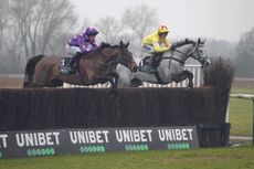 L'Eau Du Sud is among this year's potential Cheltenham Festival runners, running in the colours of the late John Hales.