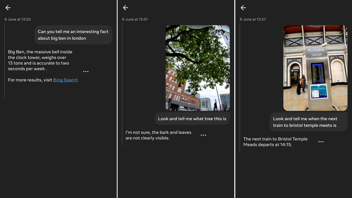 I finally tried the Meta AI in my RayBan smart glasses thanks to an
