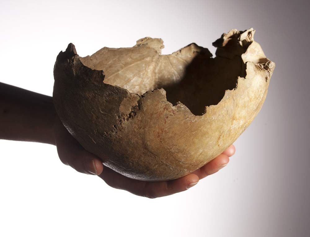 Cup made from a human skull