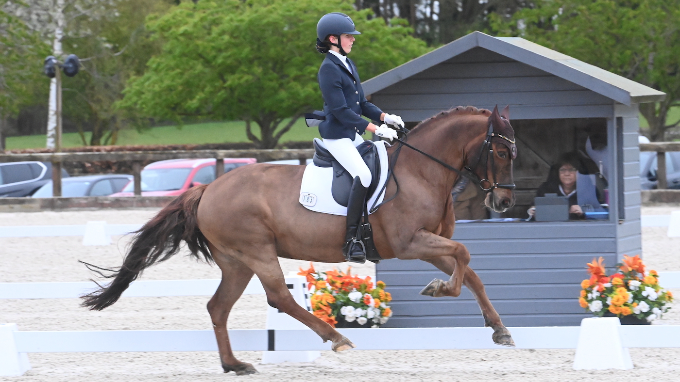 Annabelle Wesley rides Armada Dyffryncothi Bridget at the Petplan Area Festival Championships 2024