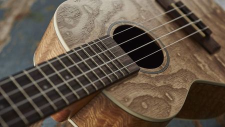 Close up of ukulele strings