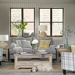 grey living room with sofa and dog