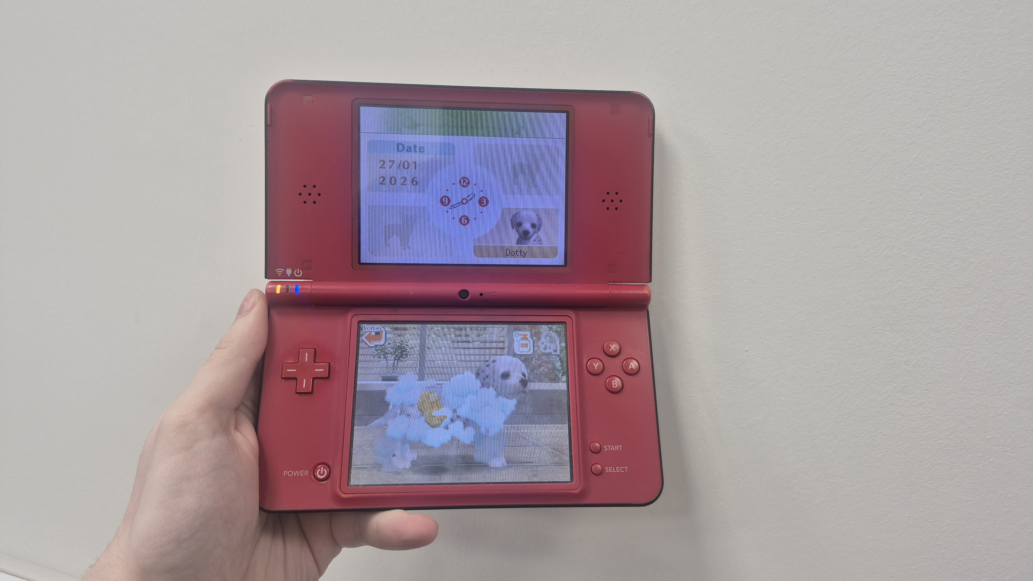 Man holding DSi XL with dalmatian being washed in Nintendogs