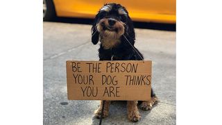 Dog with sign saying 'Be the person your dog thinks you are'