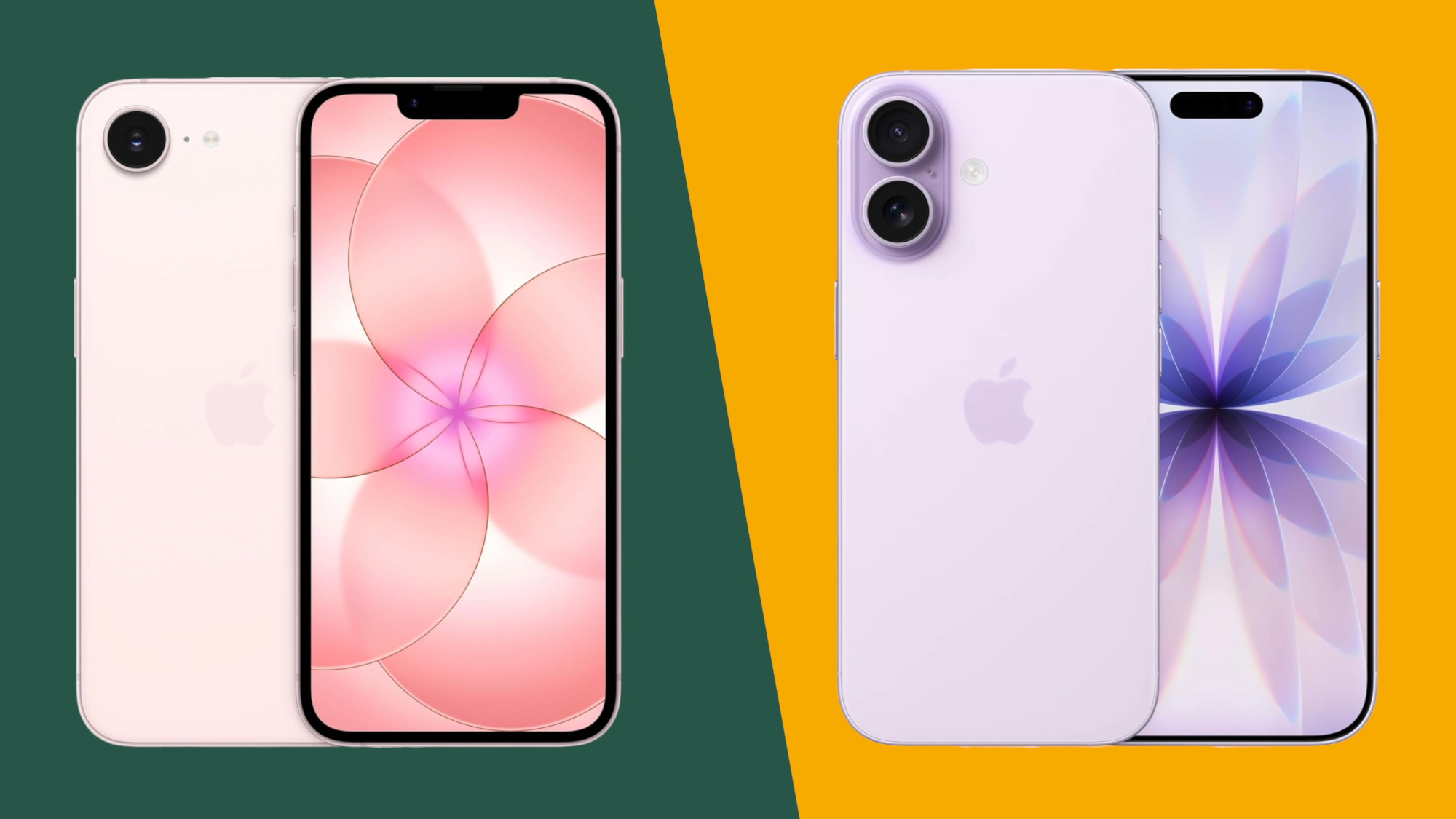 A pink iPhone 17e next to a purple iPhone 17 on a colored background