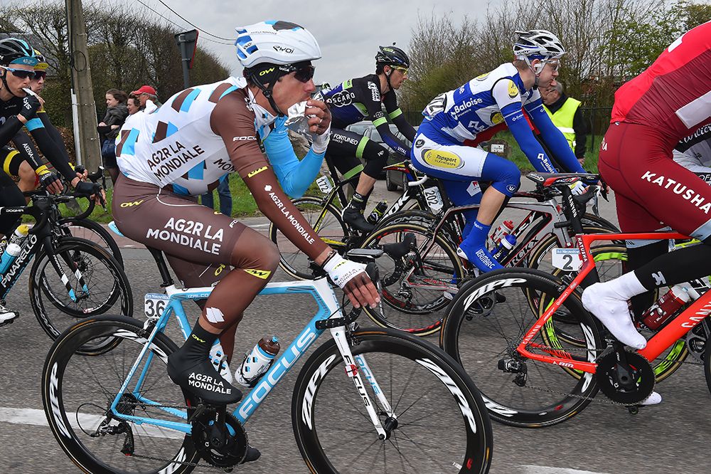The peloton in the Scheldeprijs