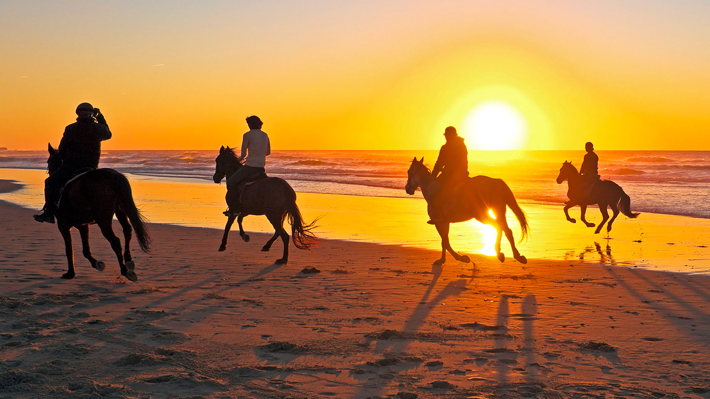horse-themed holidays