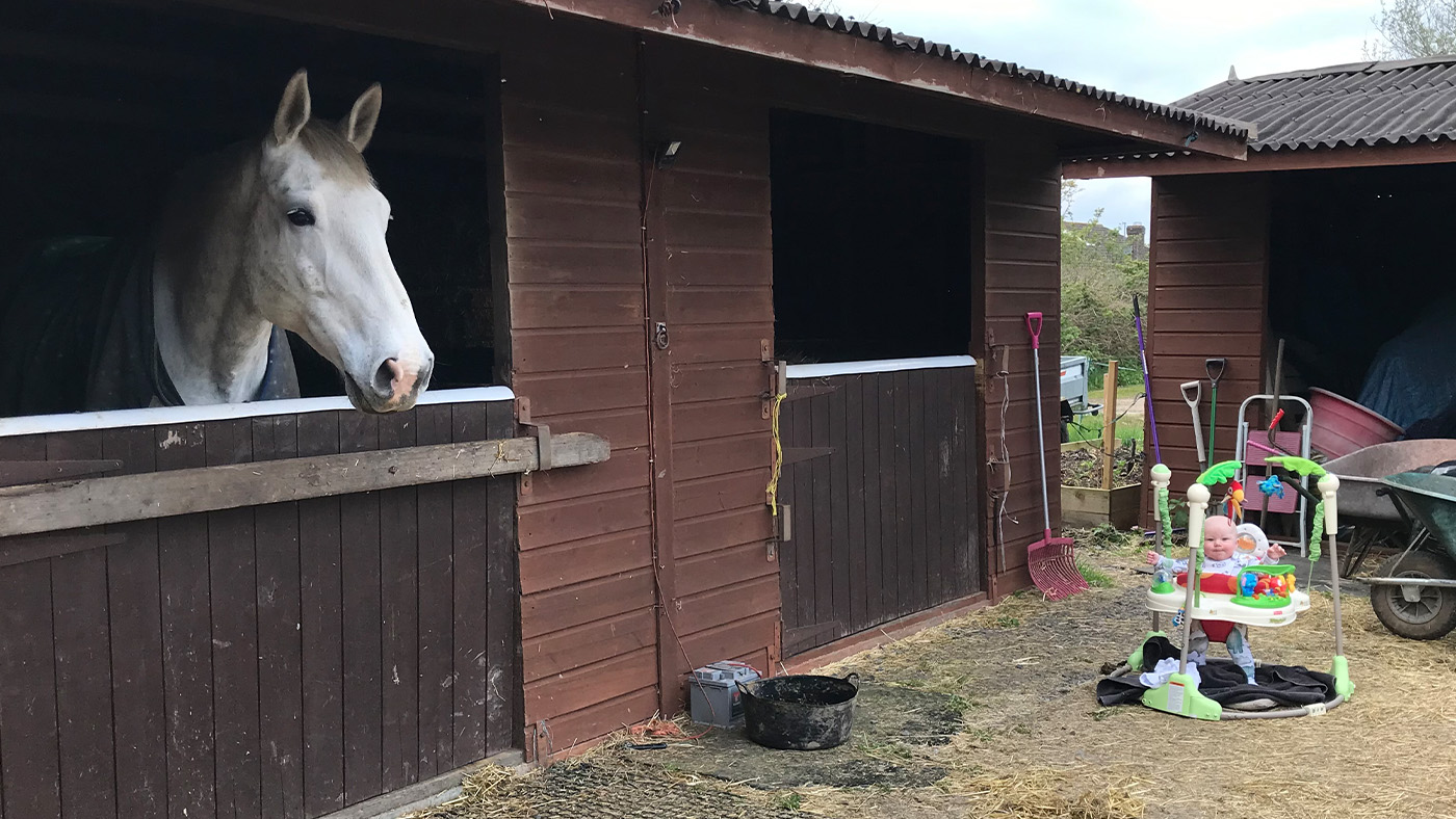 Horse in stable with a baby sat outside in a Jumperoo