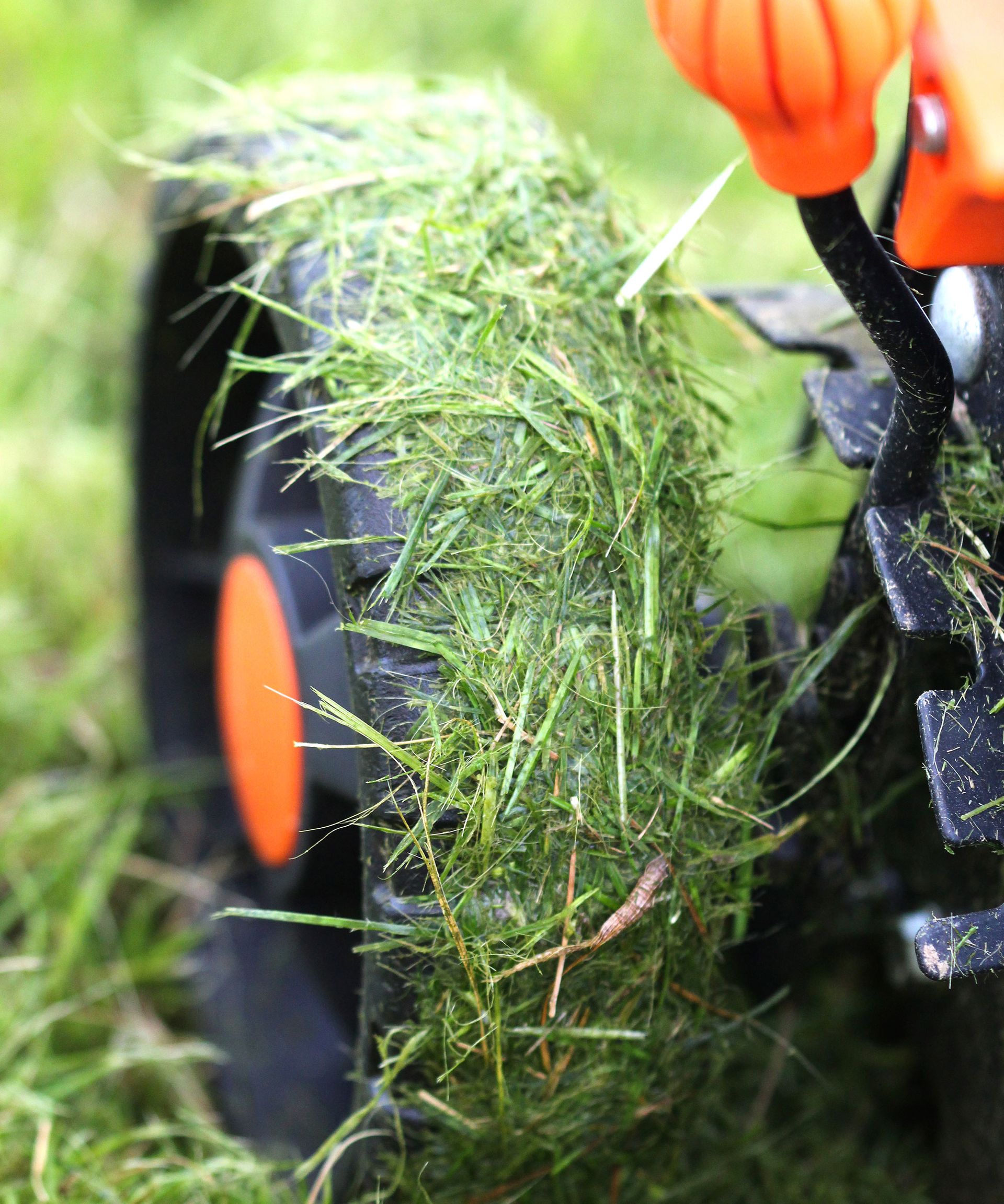 Why mowing after heavy rain could ruin your lawn mower Gardeningetc