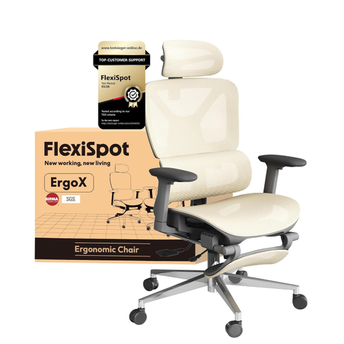 ErgoX Ergonomic Office Chair