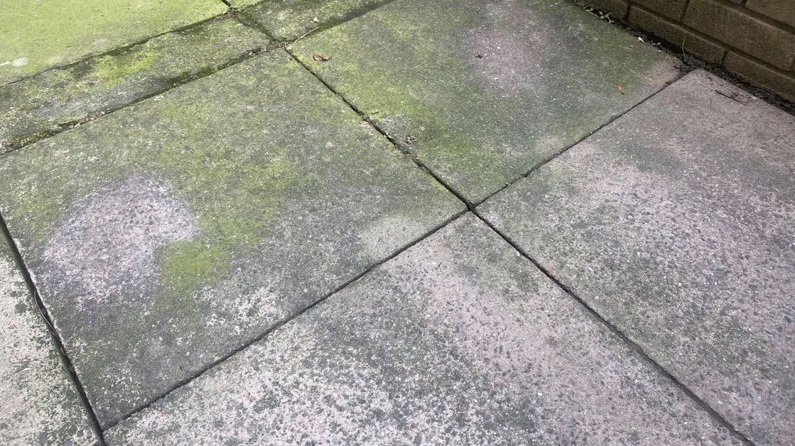 Annie's patio