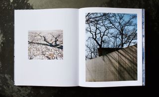Book open a pages showing photos of tree branches and concrete walls