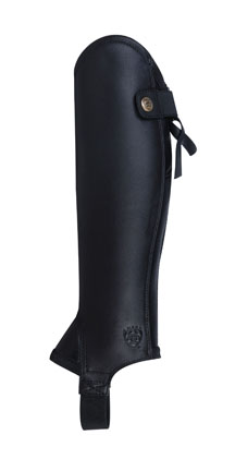 AriatConcordChaps.jpg