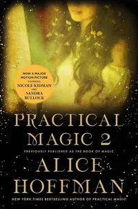 The Book of Magic (Practical Magic 2): A Novel