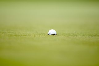 A golf ball embedded in the green