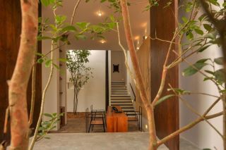 A minimalist, modern interior designed hotel features indoors plants and wooden finishes amplifying the spacious volumes of its common areas.