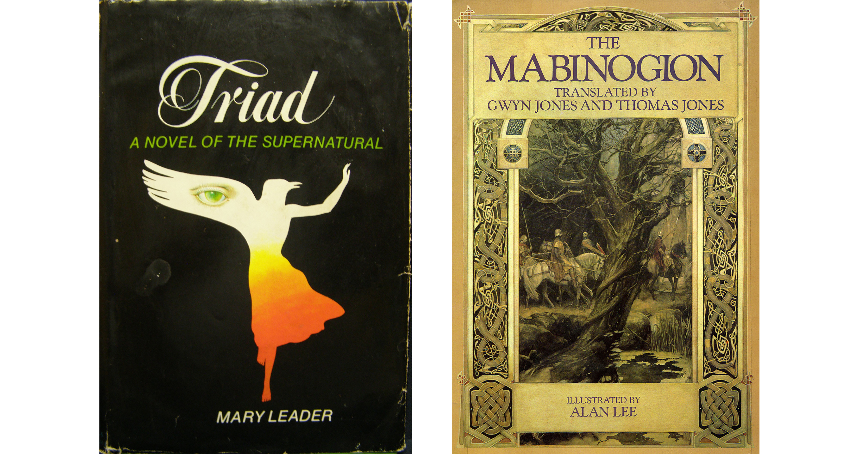 The books that inspired Rhiannon
