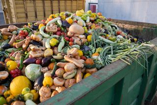 A huge amount of fruit and vegetables in a large skip.