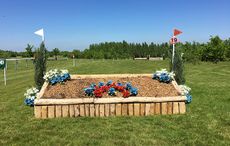 IMG_3558.jpg