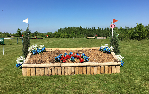 Fence 19