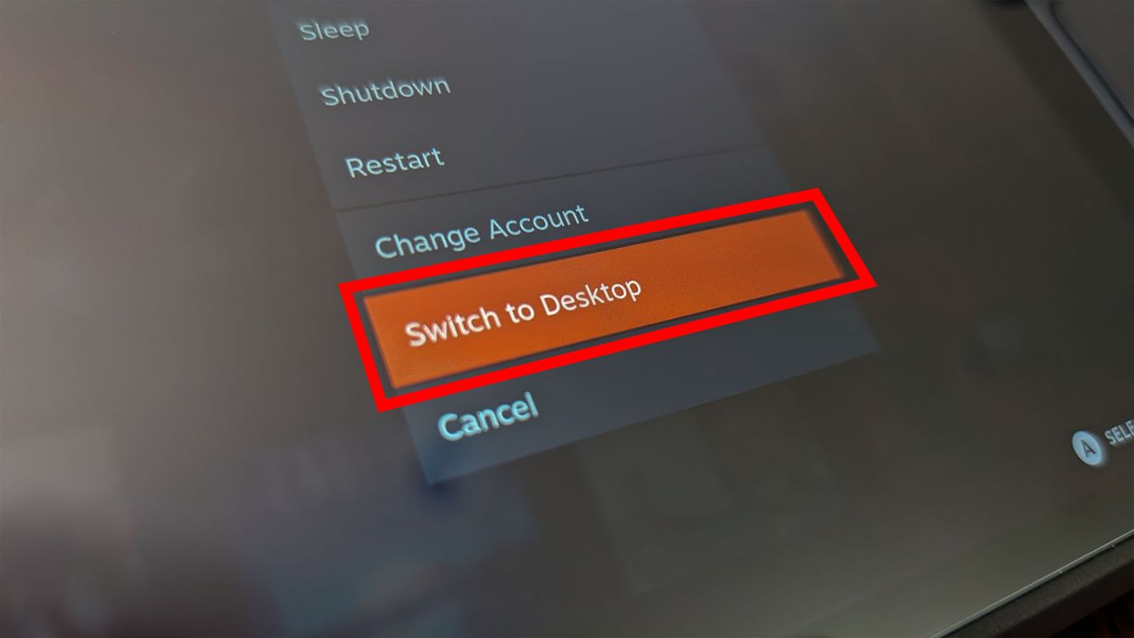 Options after selecting the Power options in SteamOS