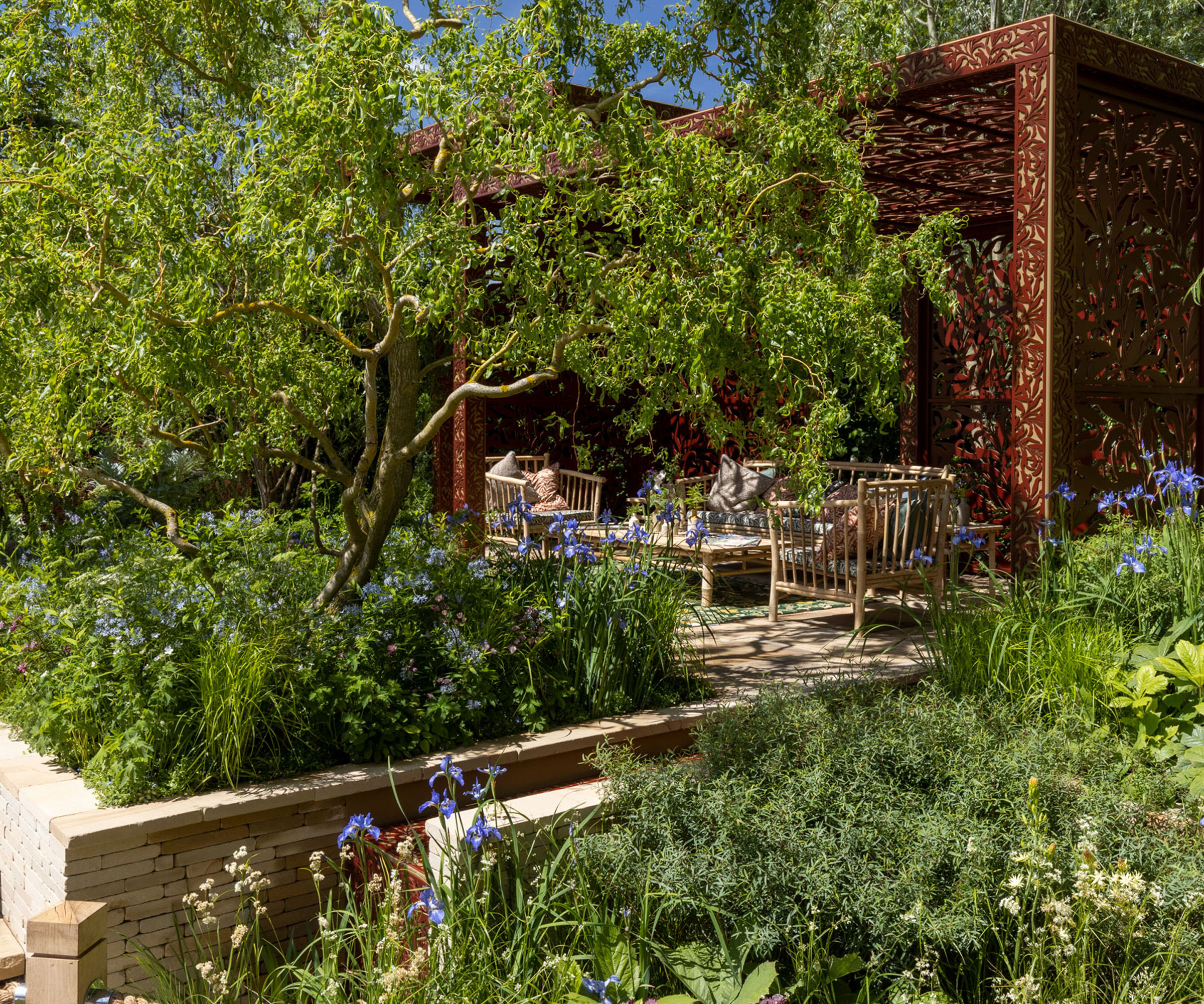 shade garden design with pergola and outdoor furniture set, with a leafy tree and beds of naturalistic planting