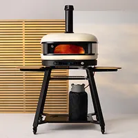 £2,499.99, gozney.com £2,499.99, gozney.com