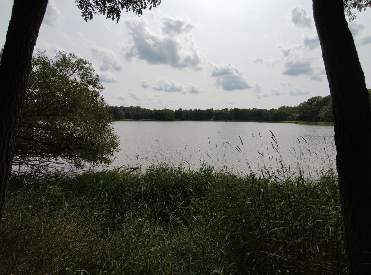 Motorola Razr Plus 2023 camera samples