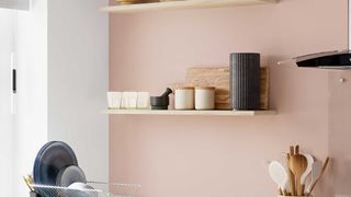 pale pink kitchen walls with open shelving