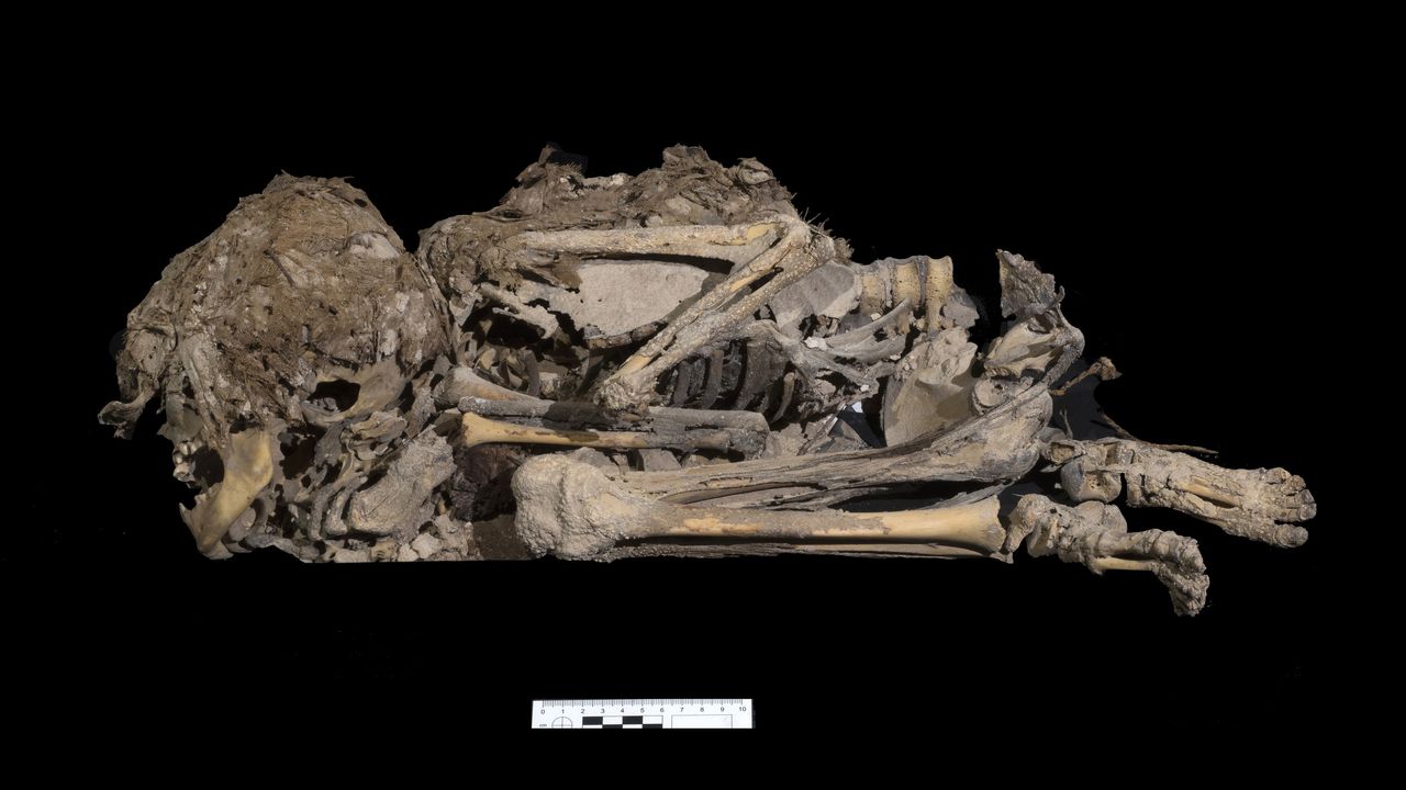 Archaeologists found the 6,000-year-old skeleton of a child who was buried wrapped in cloth in the Cave of Horror.