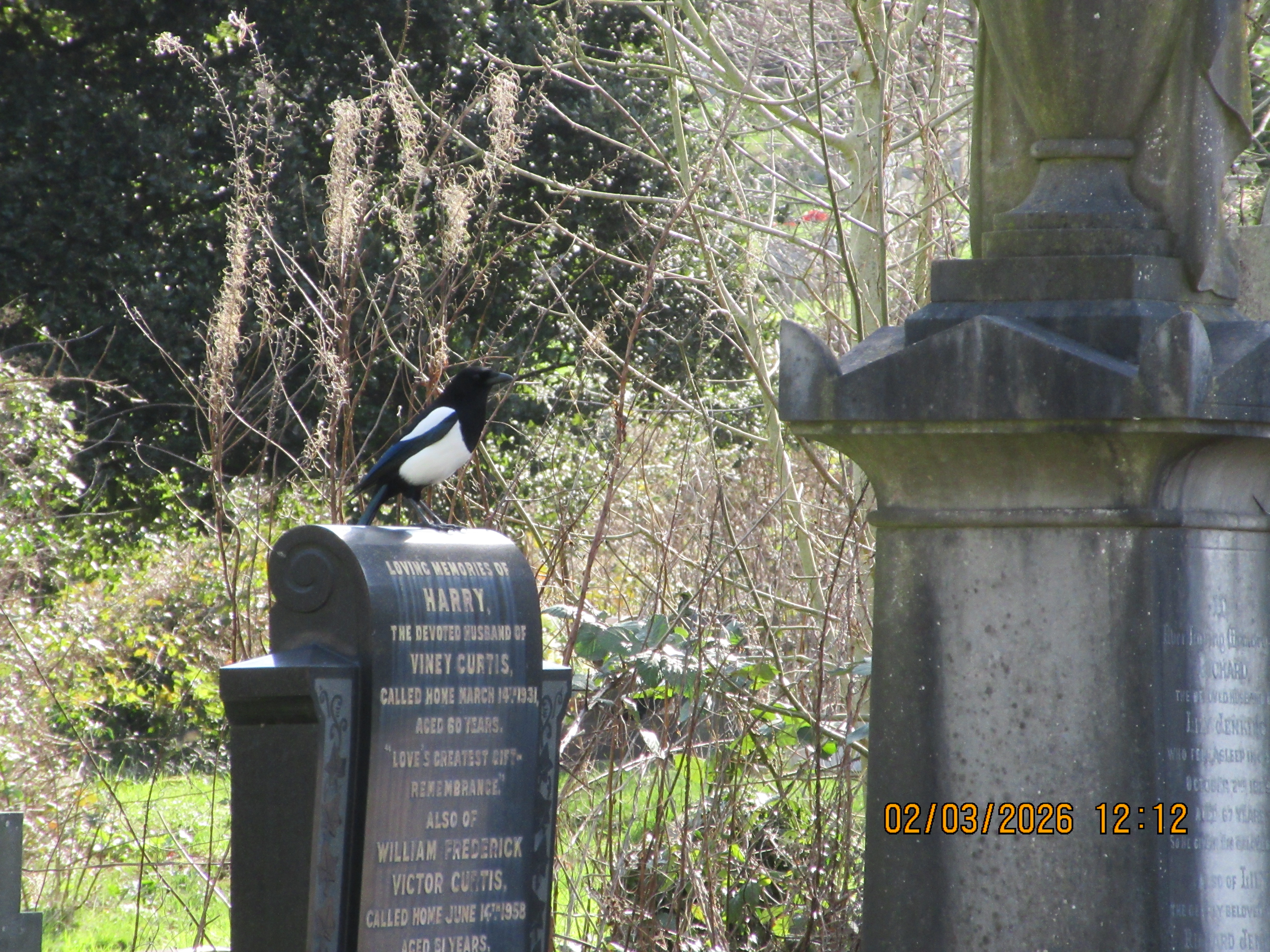 A photo taken on a Canon PowerShot Elph 360 HS A / IXUS 285 HS A compact camera