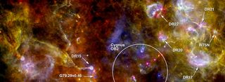 An annotated picture of the region Cygnus-X, highlighting numerous dense sites of new star formation in the right-hand complex, and the swan-like structure in the left-hand portion of the scene. The image was taken by the European Space Agency's Herschel space telescope.