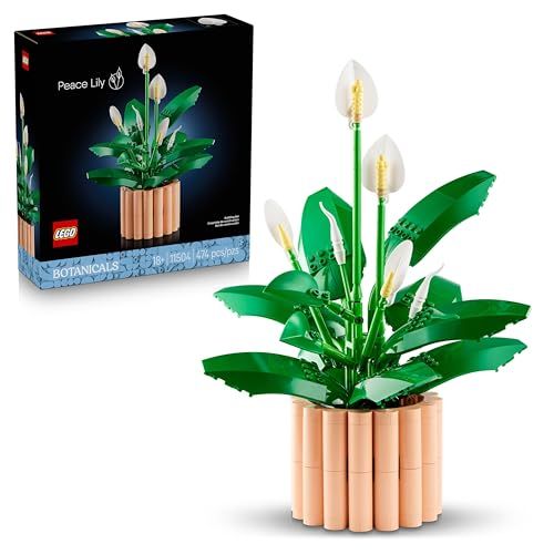Peace Lily 11504