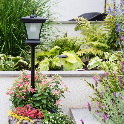 street light and flowers in garden