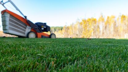 A lawn mower on short grass with autumn trees in the background