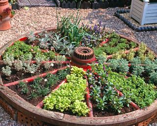 Old wagon wheel upcycled into herb planter