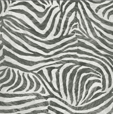 House of Fraser Graham & Brown Black and White Zebra Wallpaper