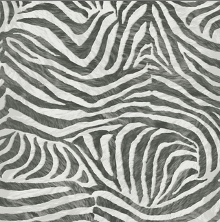 House of Fraser Graham & Brown Black and White Zebra Wallpaper