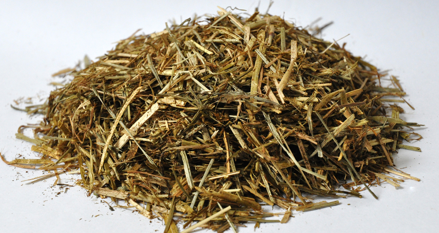 Performance-Fibre-LHS
