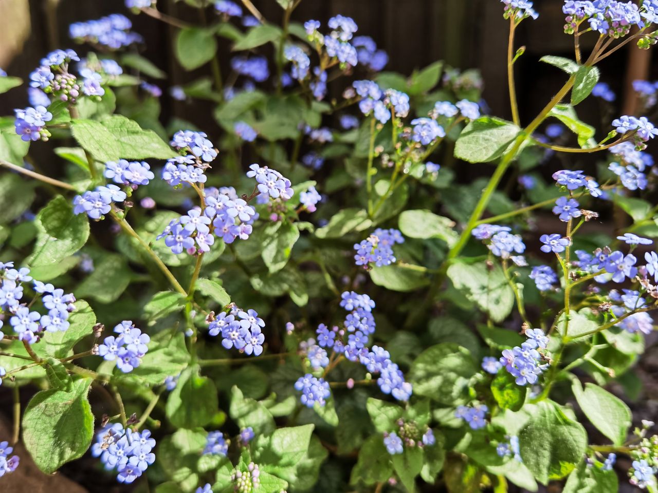 Huawei P40 Pro sample images