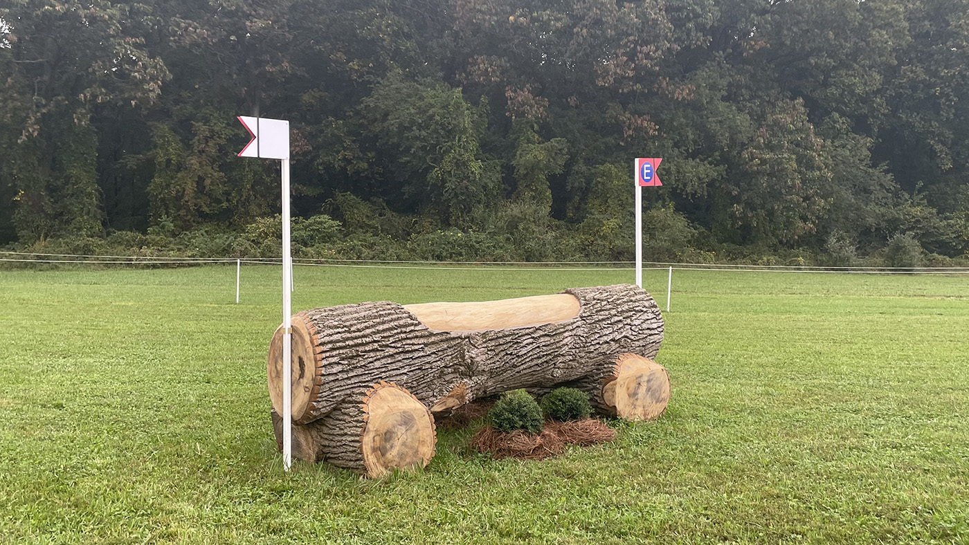 Fence15e-alt-2