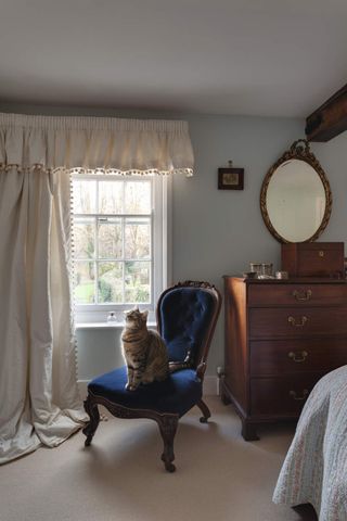 A cat sat on a blue velvet armchair