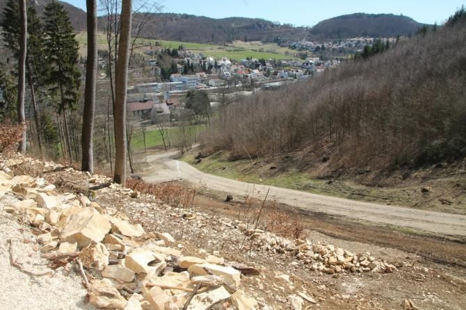 A view from the Albstadt MTB World Cup course