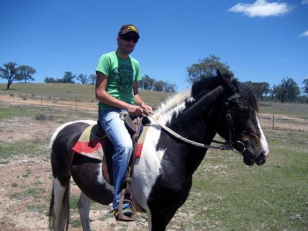 Horse riding in Texas