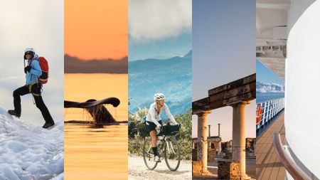 A collage to represent unique holiday ideas and destinations, including bike touring, hiking, whale watching, cruise and sightseeing